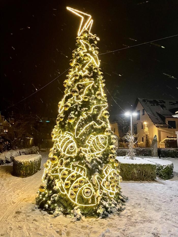 Bilder Ferienhaus Lütten Kulli