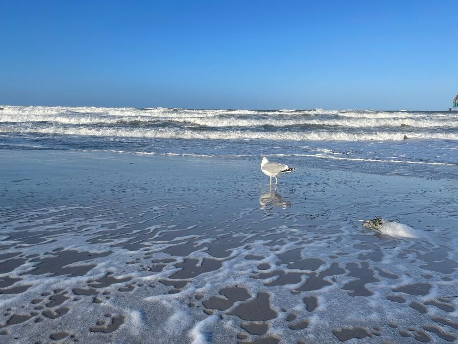 Bilder Ferienhaus Lütten Kulli