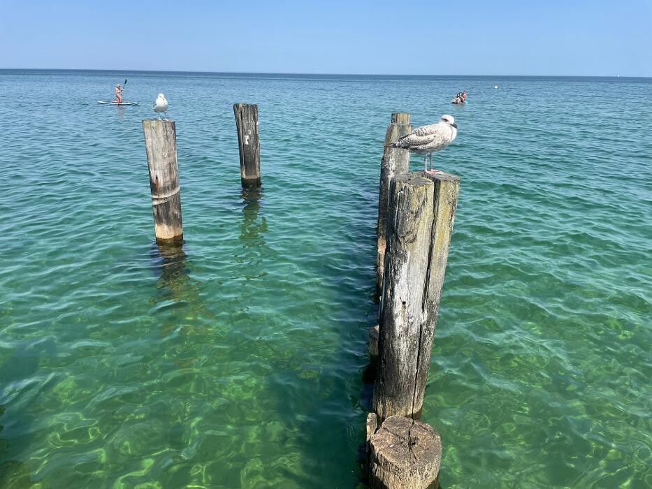 Bilder Ferienhaus Lütten Kulli