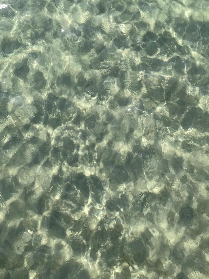 Bilder Ferienhaus Lütten Kulli