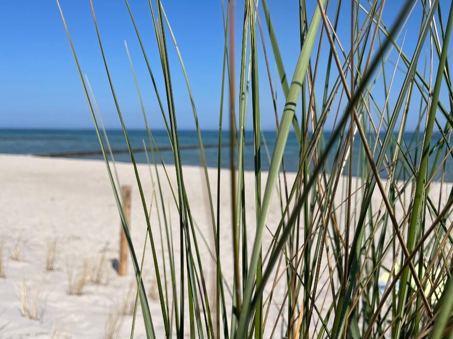 Bilder Ferienhaus Lütten Kulli