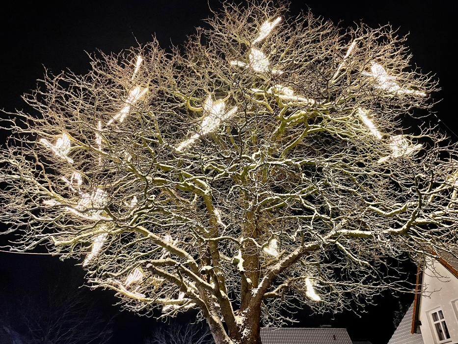 Bilder Ferienhaus Lütten Kulli