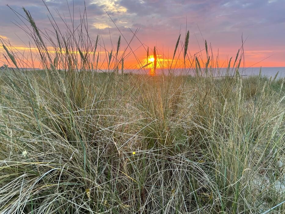 Bilder Ferienhaus Lütten Kulli