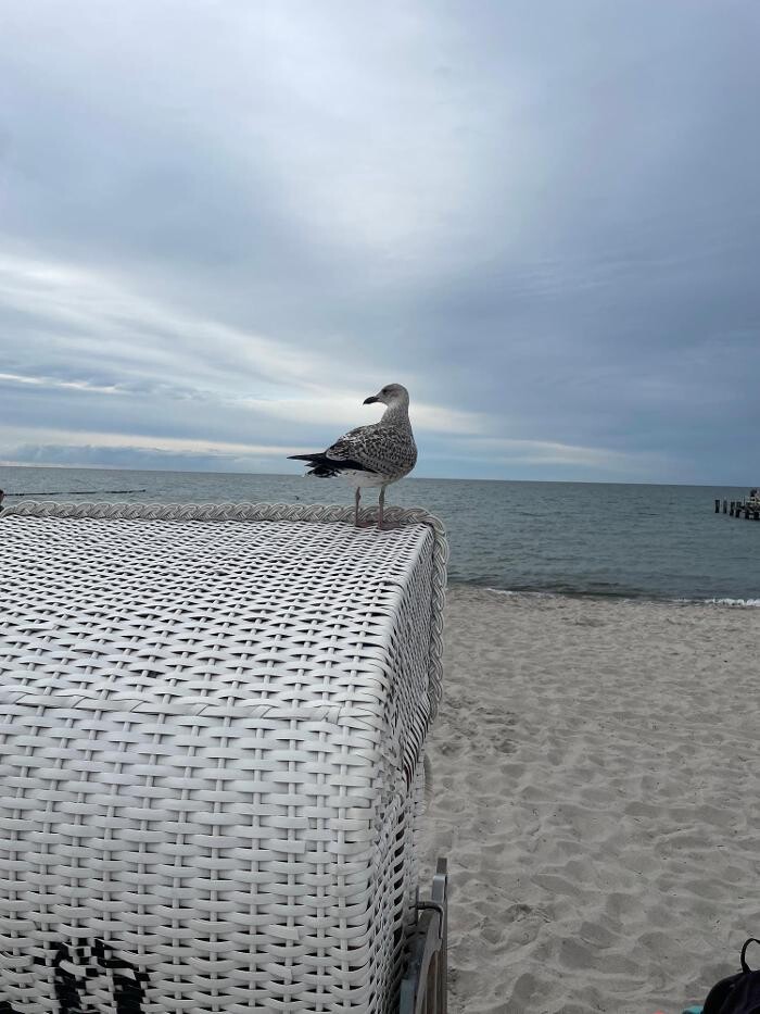 Bilder Ferienhaus Lütten Kulli