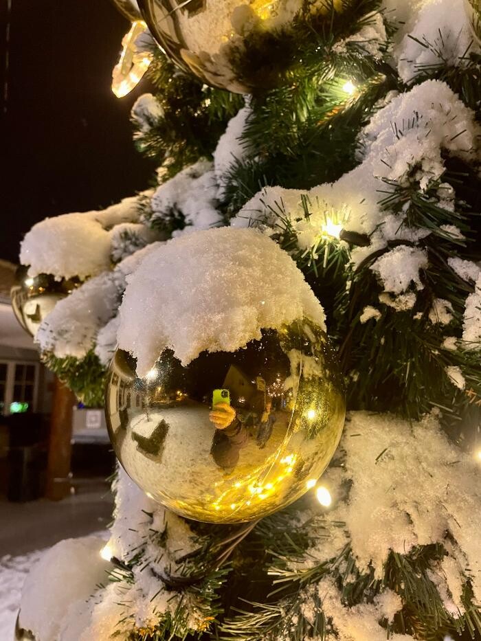 Bilder Ferienhaus Lütten Kulli