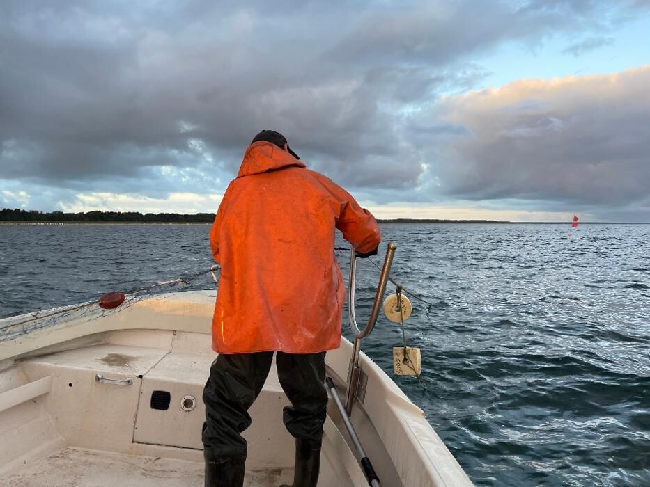 Bilder Ferienhaus Lütten Kulli