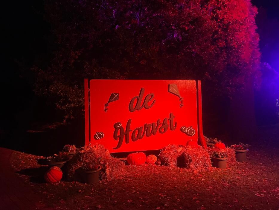 Bilder Ferienhaus Lütten Kulli