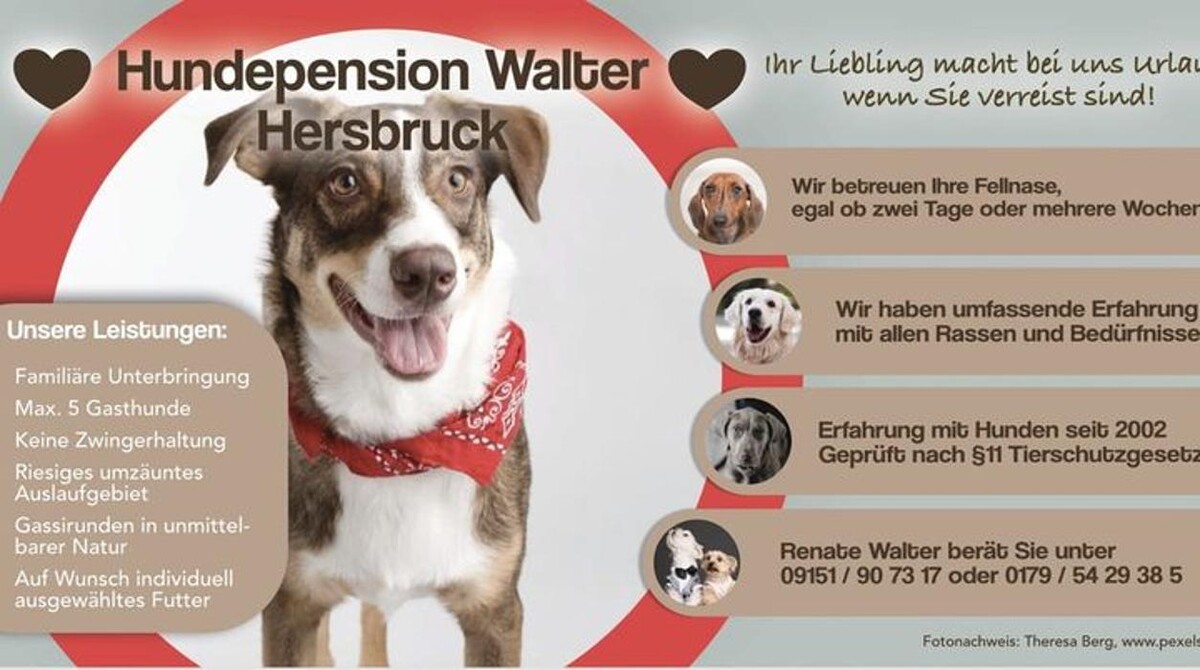 Bilder Ernst & Nates Hundepension