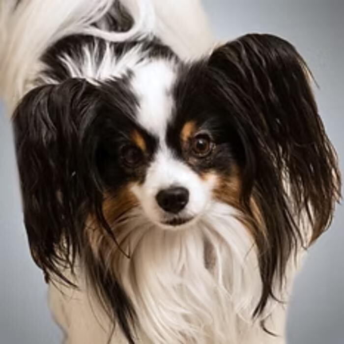 Bilder Ernst & Seitenspinner PartGmbB