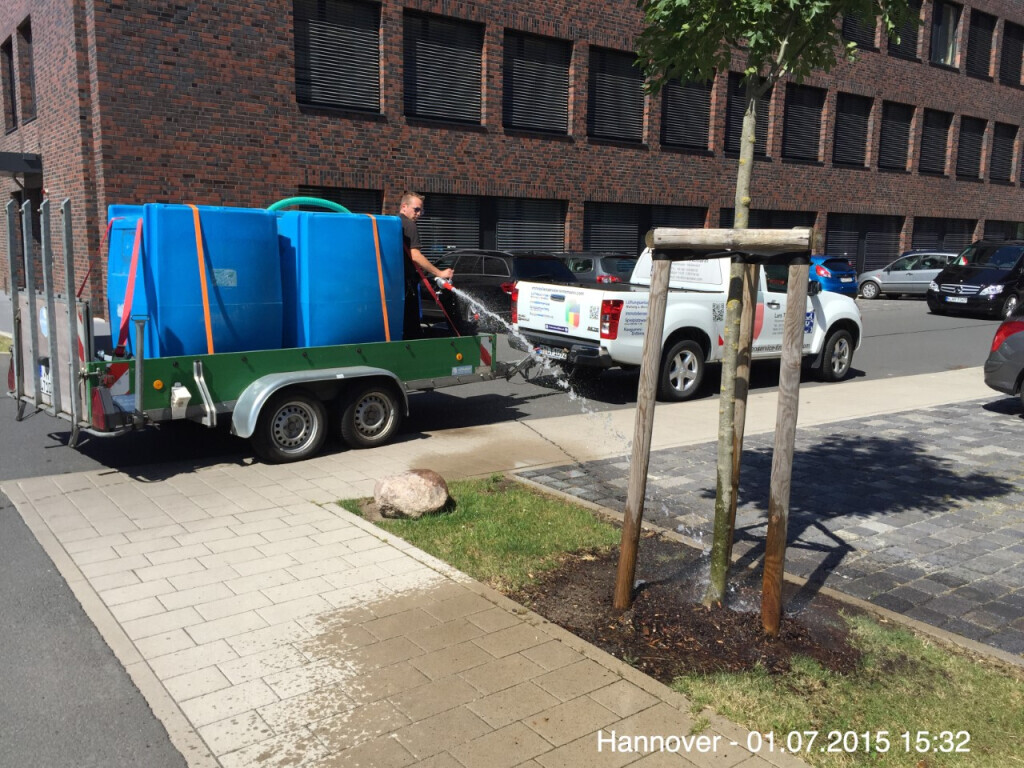 Bilder Tinnemann Immobilienbetreuung