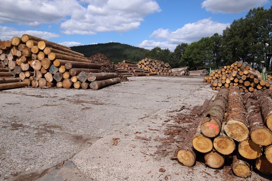 Bilder Franz Habelitz GmbH & Co. KG