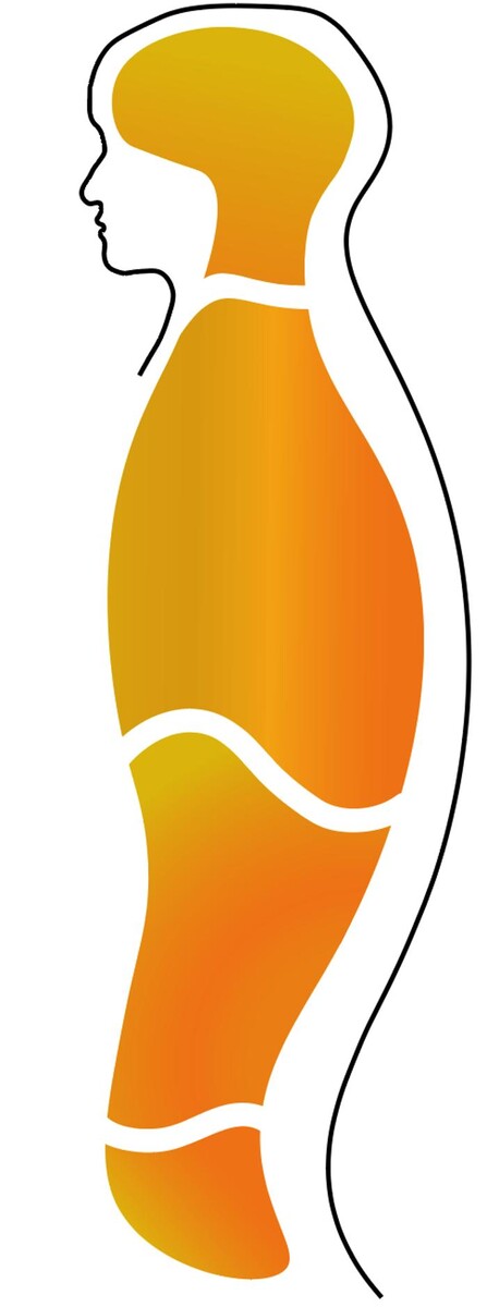 OATEOPATHIE & HEILPRAKTIKER Tom Graber Logo