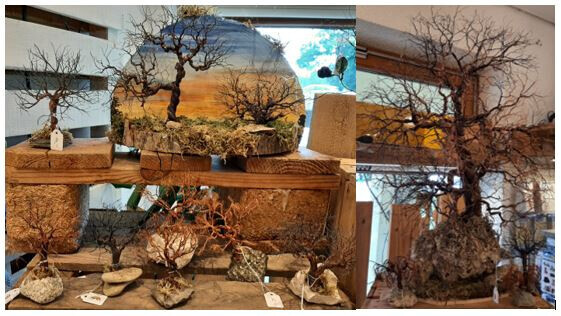 Bilder Ratzefatz Christine Birndorfer Schreibwarenladen