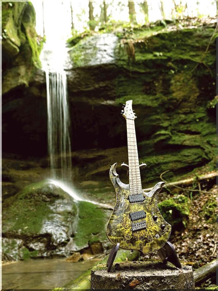 Bilder Siggi Braun - Fine Young Guitars