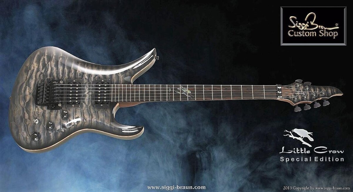 Bilder Siggi Braun - Fine Young Guitars