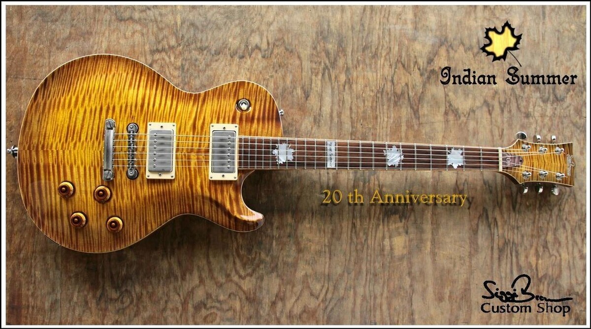 Bilder Siggi Braun - Fine Young Guitars