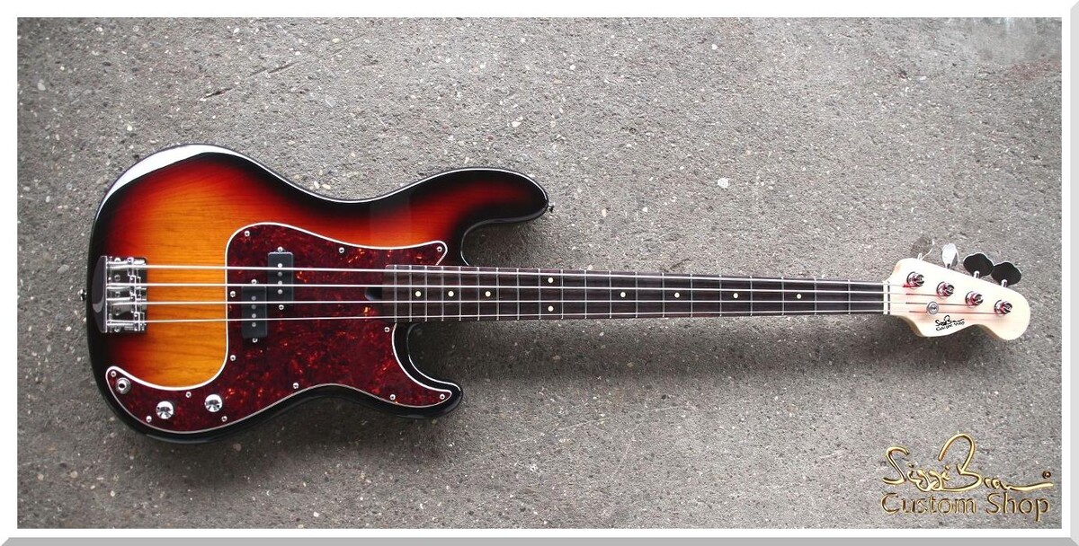 Bilder Siggi Braun - Fine Young Guitars