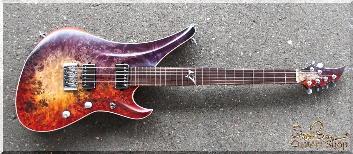Bilder Siggi Braun - Fine Young Guitars