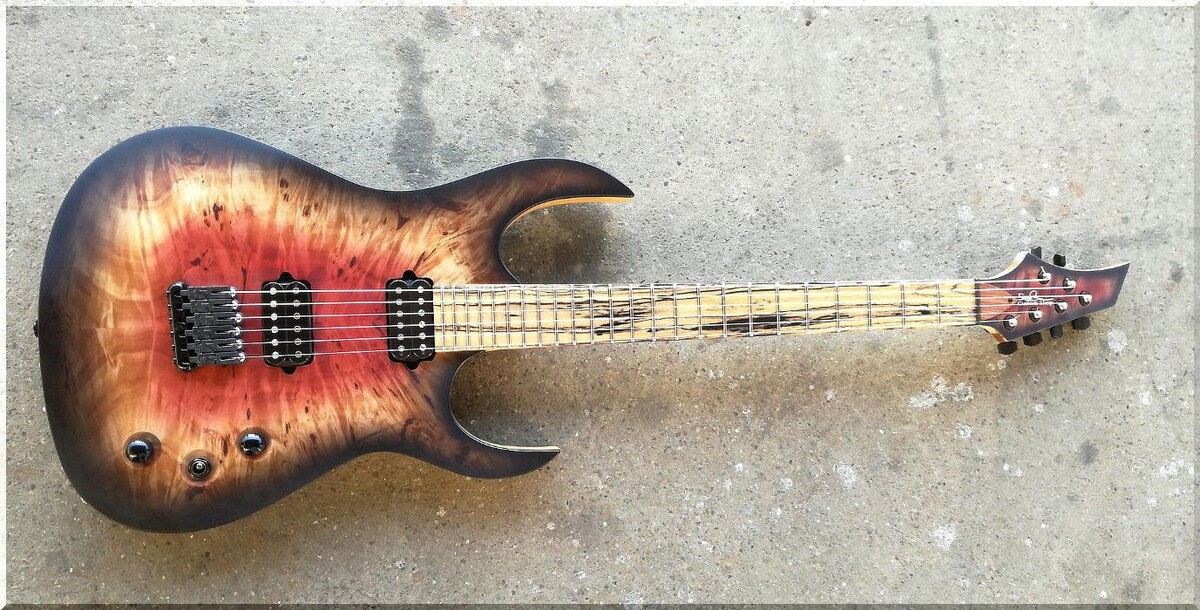 Bilder Siggi Braun - Fine Young Guitars