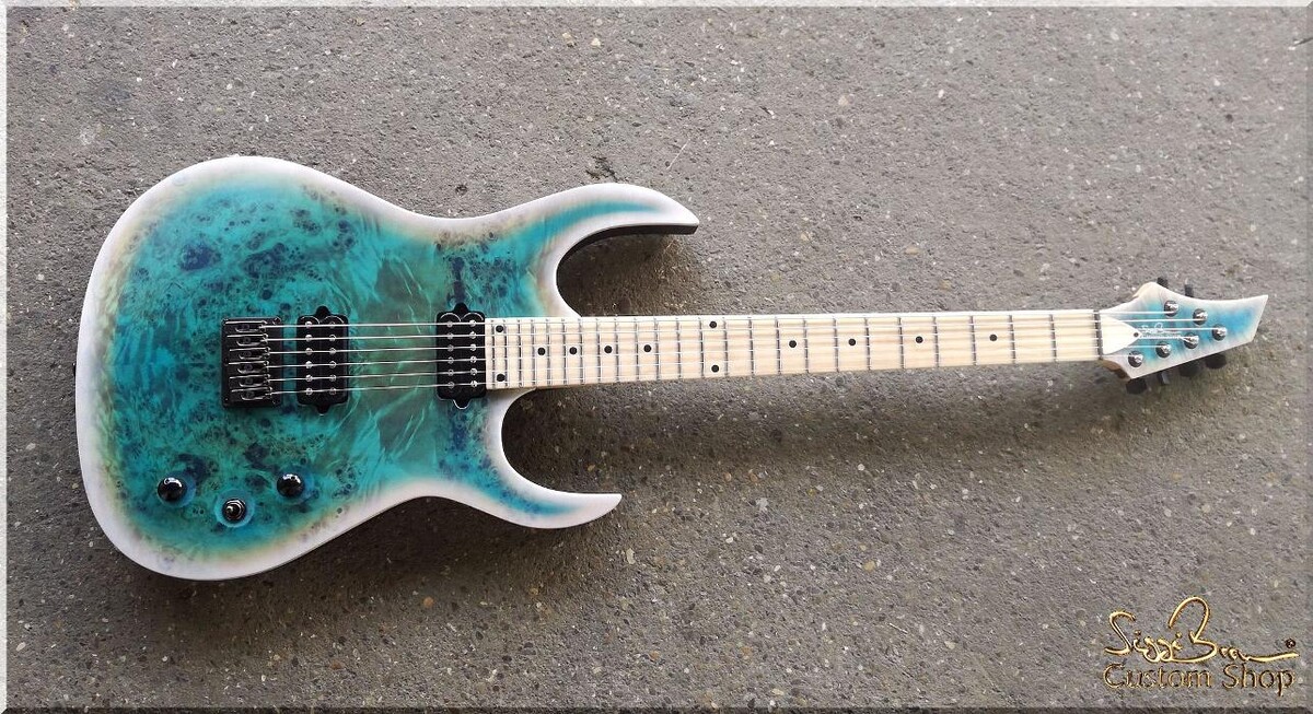 Bilder Siggi Braun - Fine Young Guitars