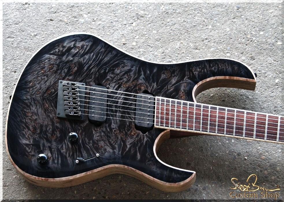 Bilder Siggi Braun - Fine Young Guitars