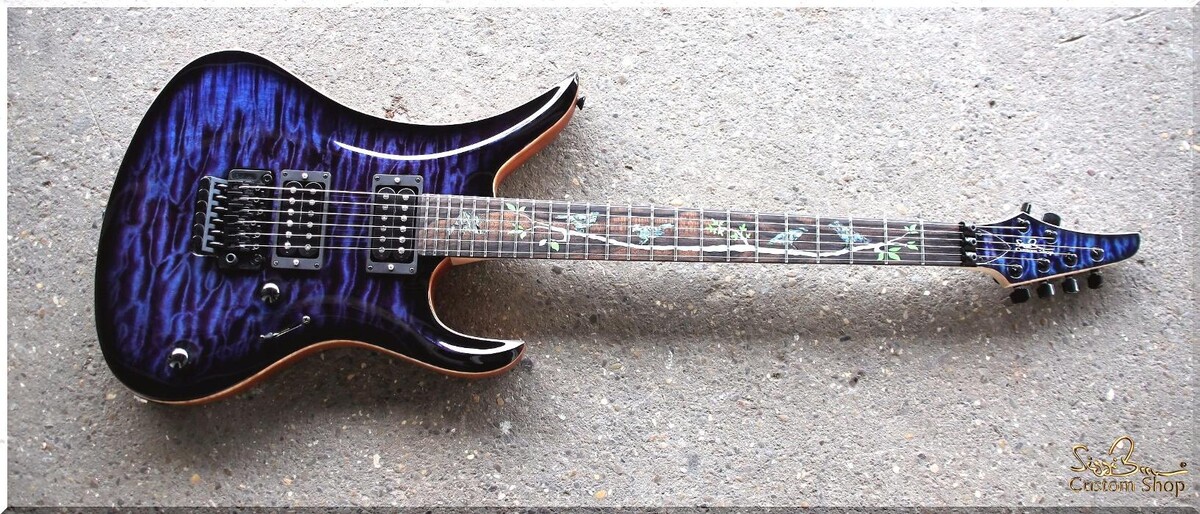 Bilder Siggi Braun - Fine Young Guitars