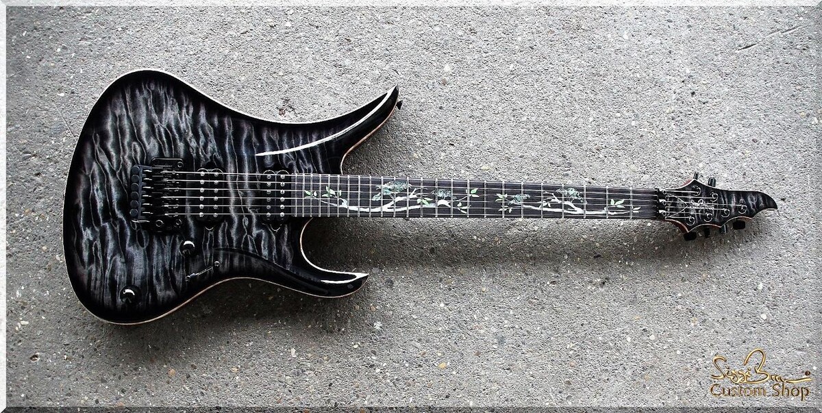Bilder Siggi Braun - Fine Young Guitars