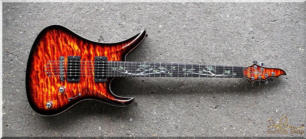 Bilder Siggi Braun - Fine Young Guitars