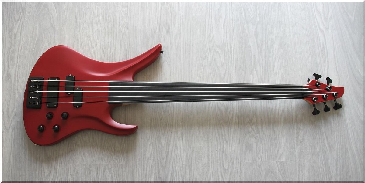 Bilder Siggi Braun - Fine Young Guitars