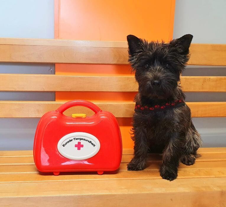 Bilder Eurode-Tiergesundheit Kleintierpraxis Dr. Mertens