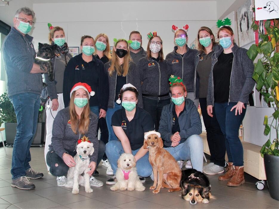 Bilder Eurode-Tiergesundheit Kleintierpraxis Dr. Mertens