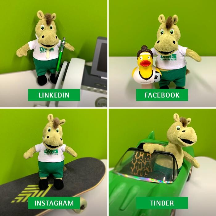 Bilder LVM Versicherung Ralf Behrendt - Versicherungsagentur