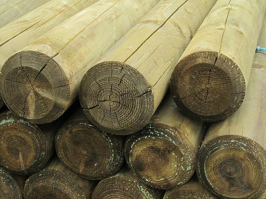 Bilder Sägewerk und Holzfachmarkt Jürgen Thede