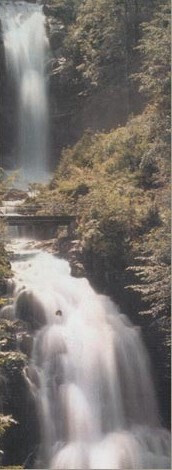 Bilder Naturheilpraxis Elke Schmitt