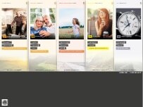 Website Screenshot Auge + Ohr Althöfer GmbH & Co. KG