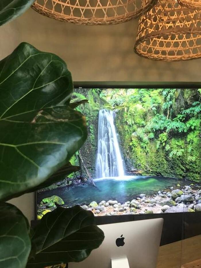 Bilder Green Home of Travel Reisebüro Inh. Hüseyin Zeyrek
