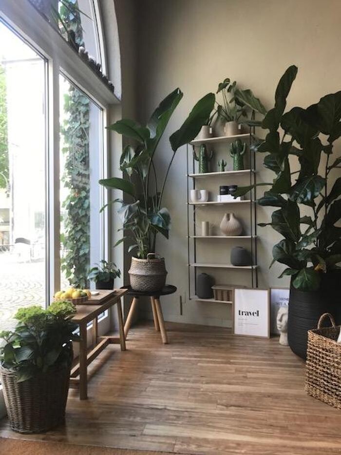 Bilder Green Home of Travel Reisebüro Inh. Hüseyin Zeyrek