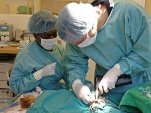 Bilder vetmed-Bonn GmbH