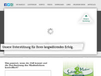 Schlüter + Mertins Steuerberatungsges. mbH & Co. KG website screenshot
