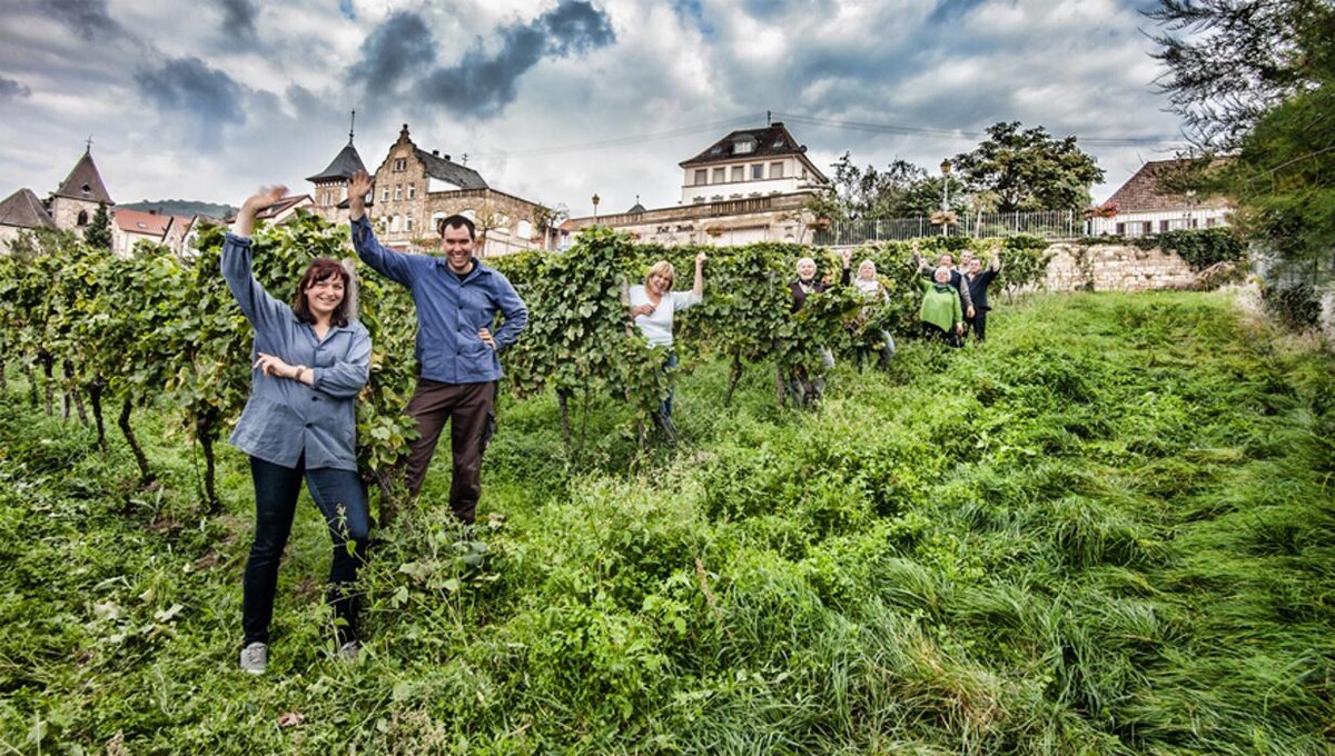 Bilder Weingut Erich Ferckel