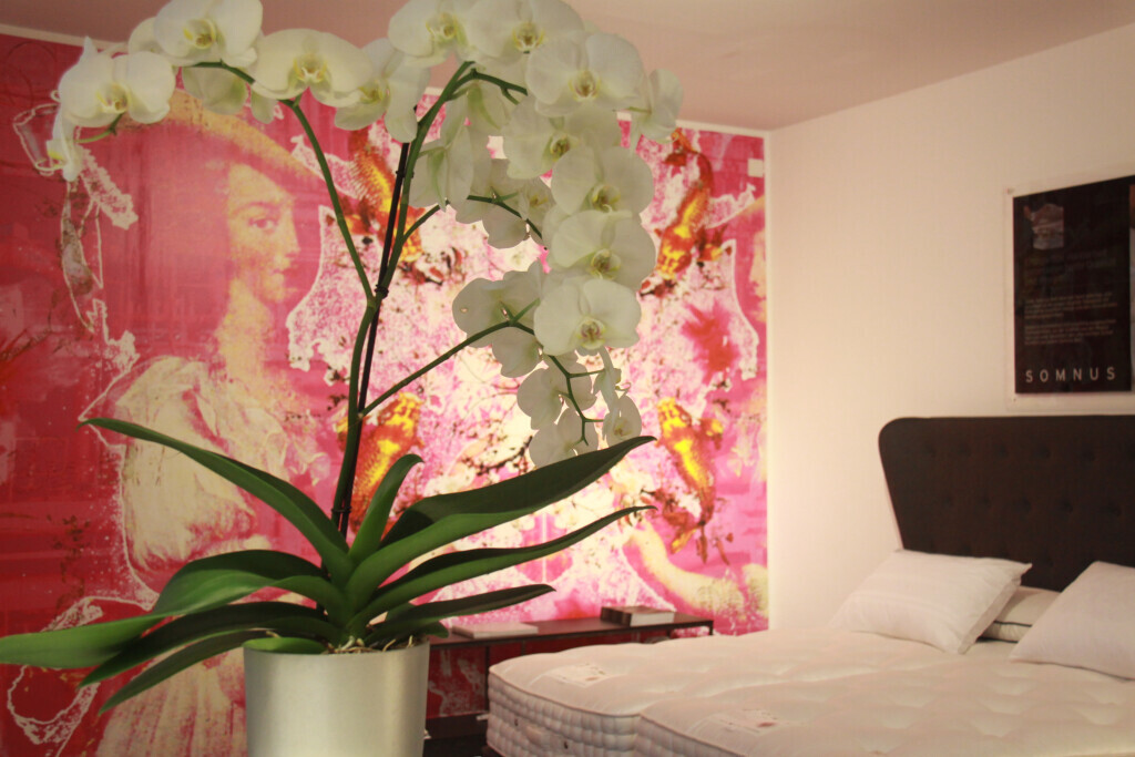 Bilder Meyers Catering GmbH