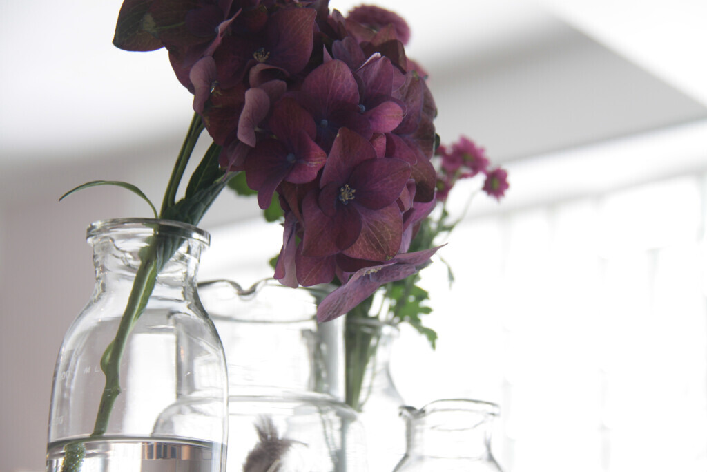 Bilder Meyers Catering GmbH