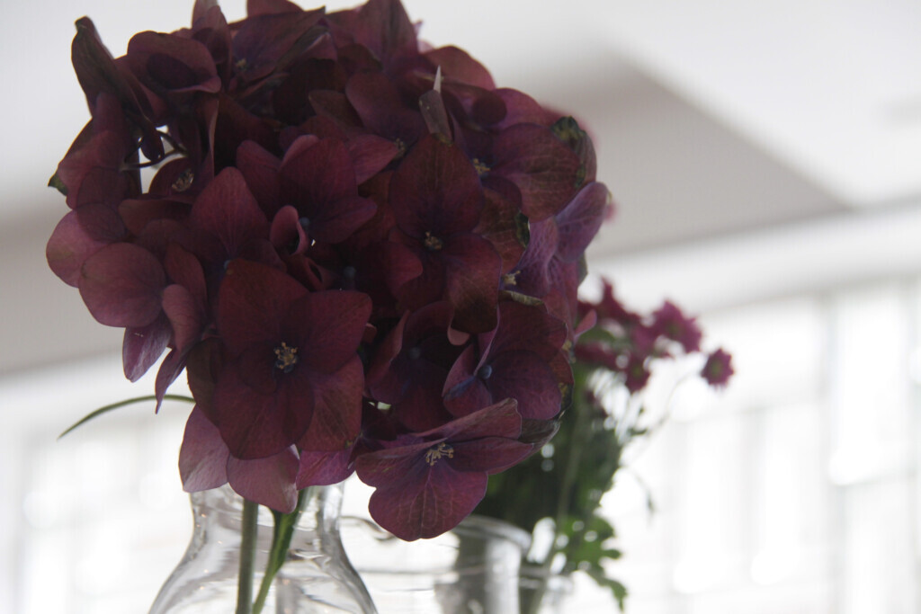 Bilder Meyers Catering GmbH