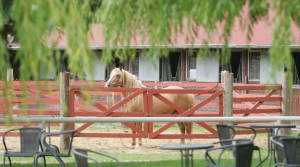 Bilder Meyers Catering GmbH