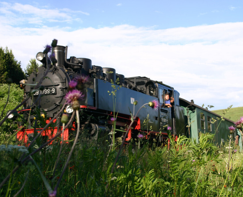 Bilder Meyers Catering GmbH