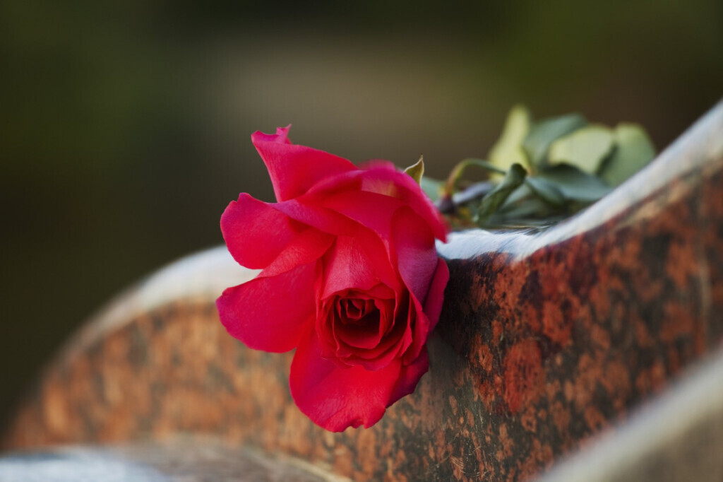 Bilder Meyers Catering GmbH