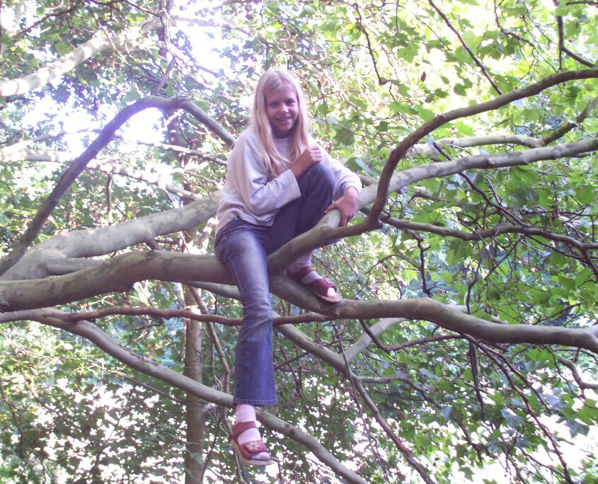 Bilder Meyers Catering GmbH