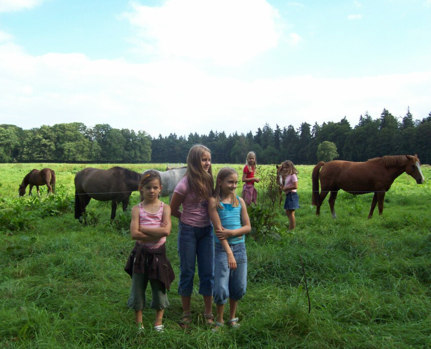 Bilder Meyers Catering GmbH