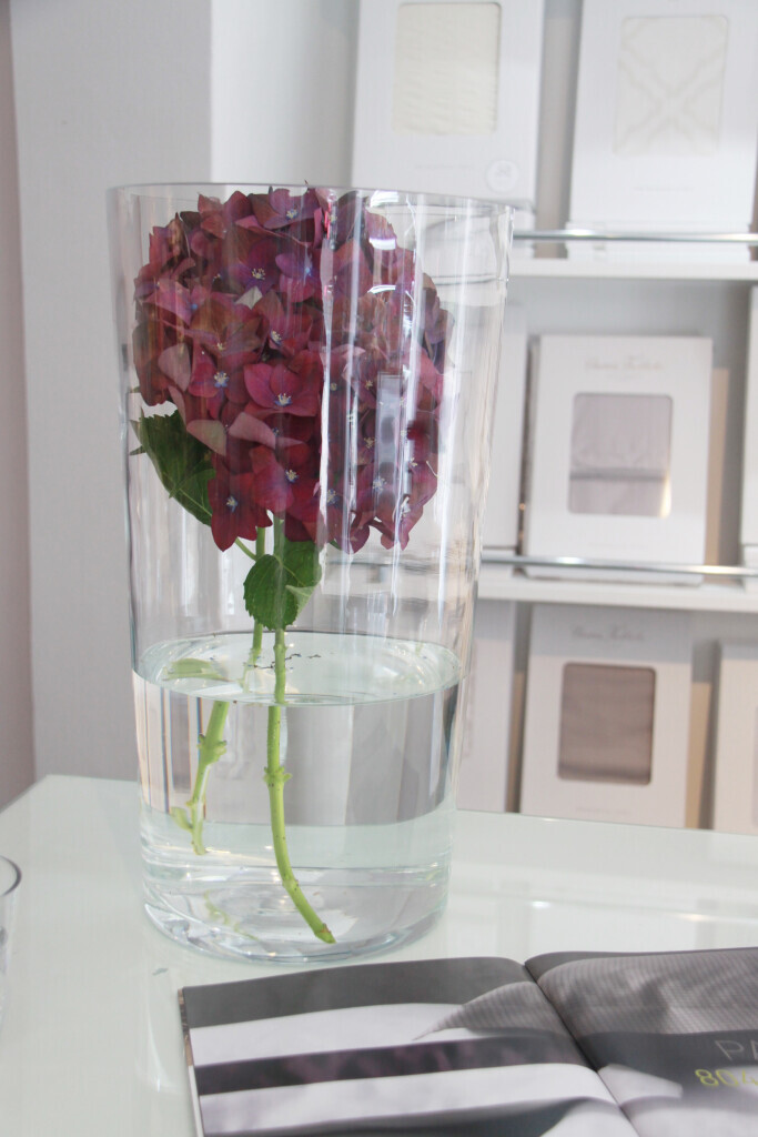 Bilder Sun Gebäudeservice von A-Z