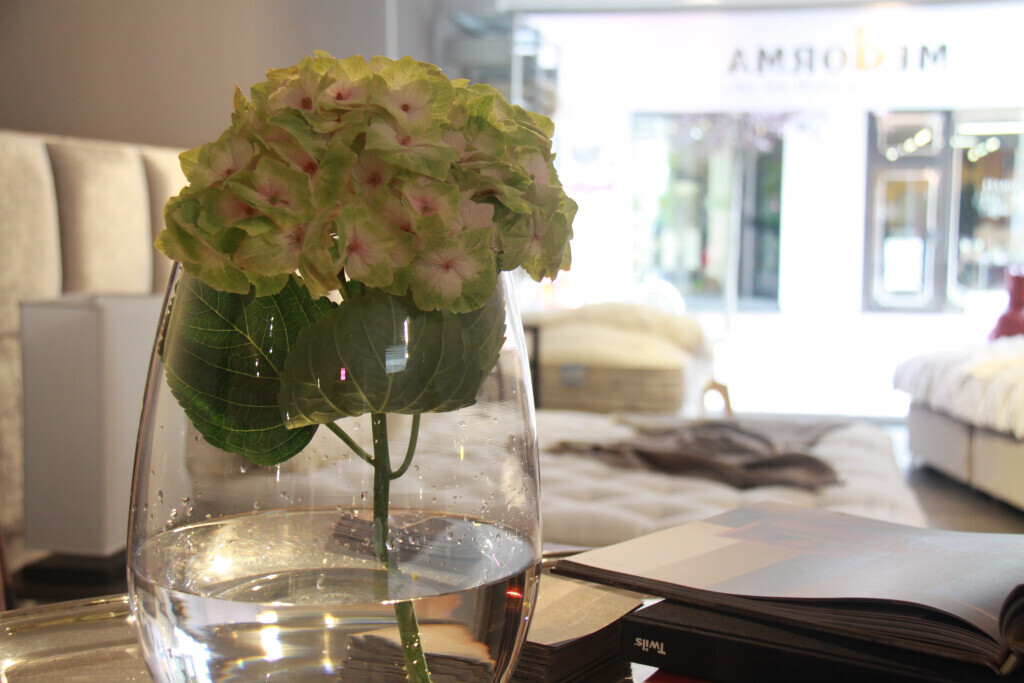 Bilder Sun Gebäudeservice von A-Z